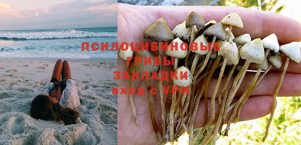 гидропоника Кинешма