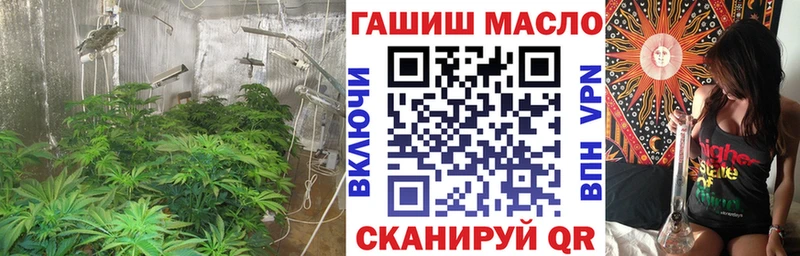 ТГК Wax Краснозаводск