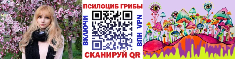 что такое Краснозаводск Псилоцибиновые грибы Magic Shrooms